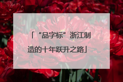 “品字标”浙江制造的十年跃升之路